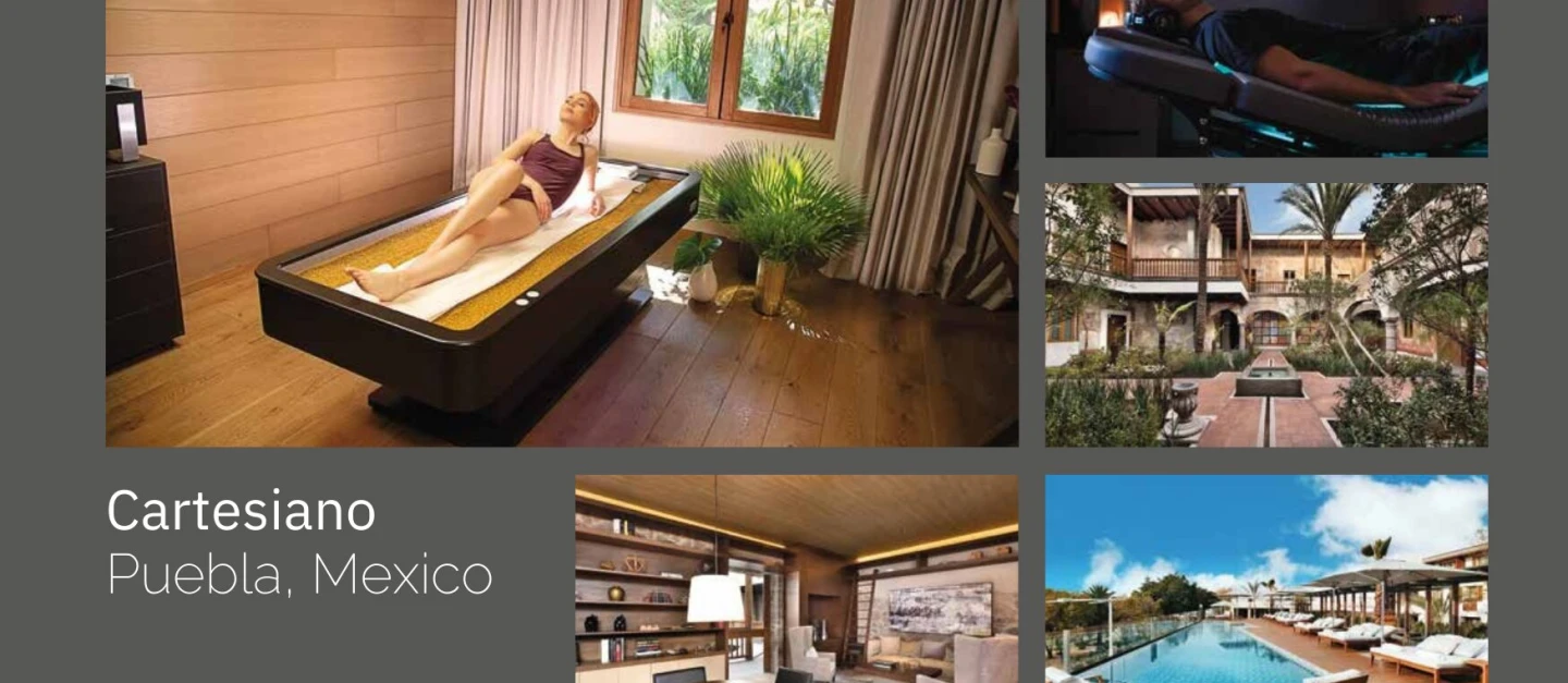 Discover the Magic of Therapeutic Touch